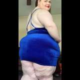 miss_curvycat