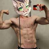 notakitten4