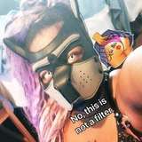 thepupqueen